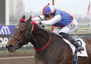 Lee más sobre el artículo Aquiles se volvió a pasear y sigue invicto en la arena del Club