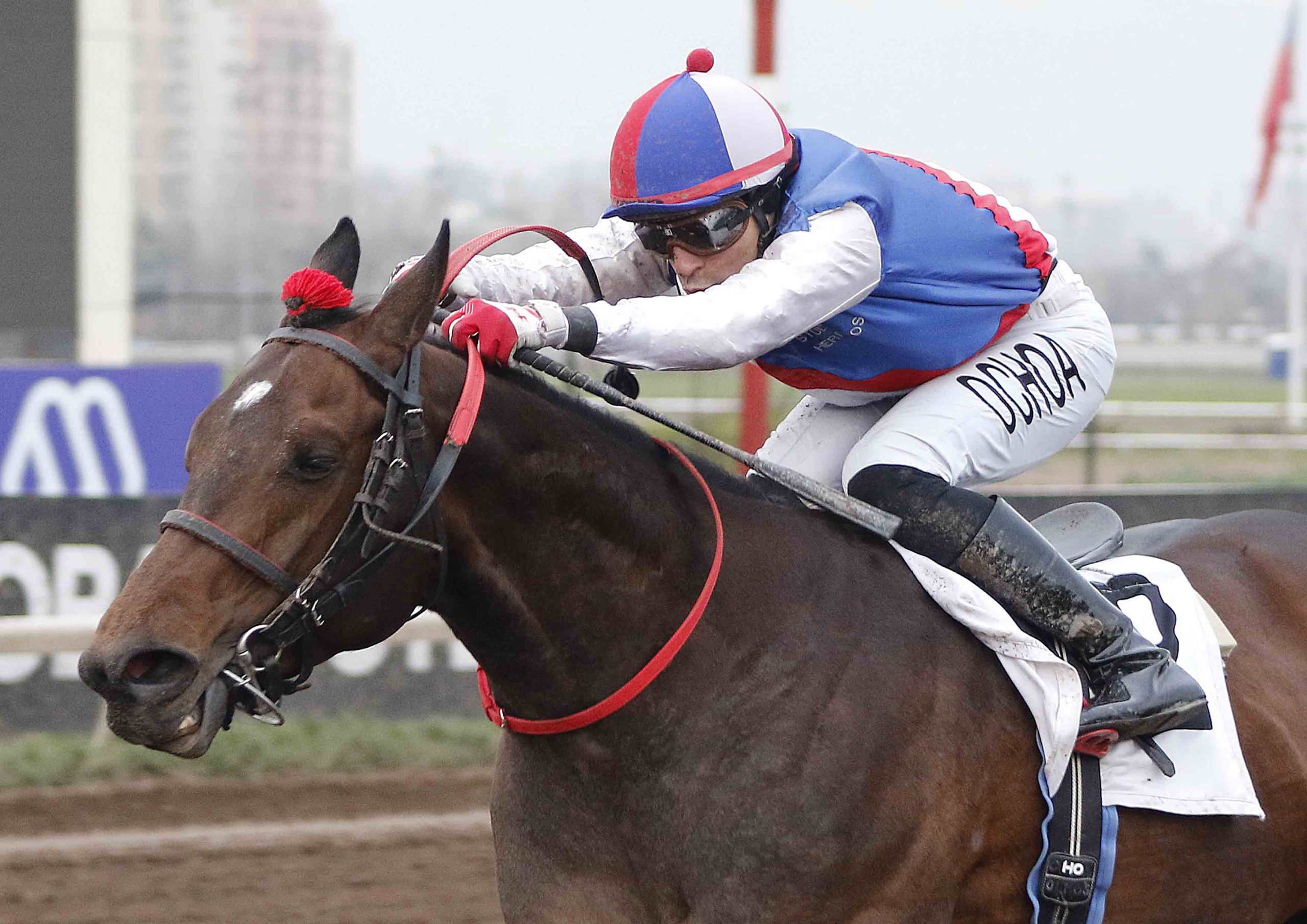 Lee más sobre el artículo Aquiles se volvió a pasear y sigue invicto en la arena del Club