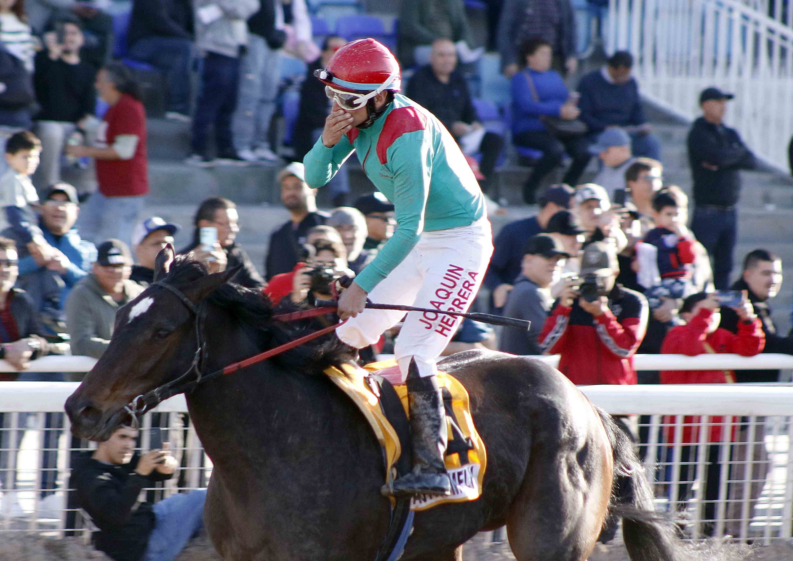 En este momento estás viendo Astromelia acabó con el reinado de Bahía Perdida con un triunfazo en las Mil Guineas (G1